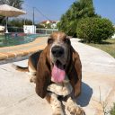 Η ζωή μου με τον Charlie