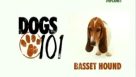 Αφιέρωμα στην ράτσα basset hound, με υπότιτλους