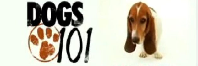 Αφιέρωμα στην ράτσα basset hound, με υπότιτλους