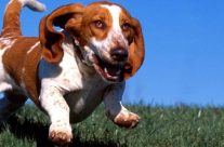 Θετική Εκπαίδευση