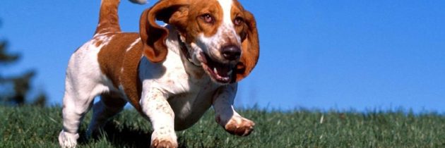 Θετική Εκπαίδευση