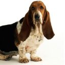 Τριχόπτωση