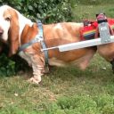 Η ιστορία του Camillo