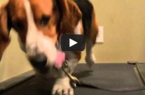 I’m sexy and I know it