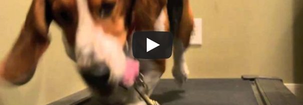 I’m sexy and I know it