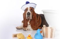 Γενική περίληψη θεμάτων υγείας