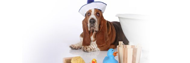 Γενική περίληψη θεμάτων υγείας